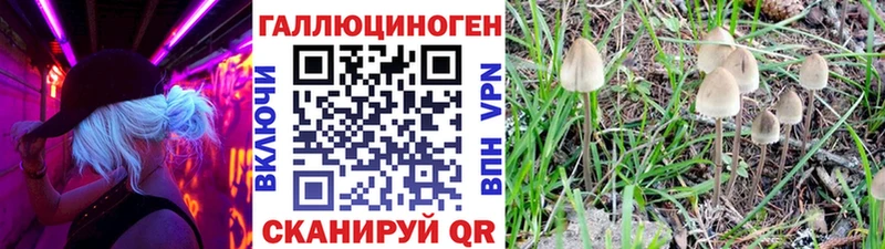 Псилоцибиновые грибы Psilocybe  Опочка 